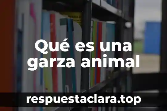 Que es un animal feral 6 Qué es una garza animal