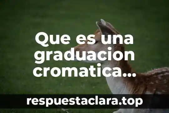 Que es primero corté o color 7 Que es una graduacion cromatica concepto