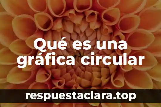 Qué es una gráfica circular
