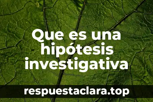 Que es una hipótesis investigativa
