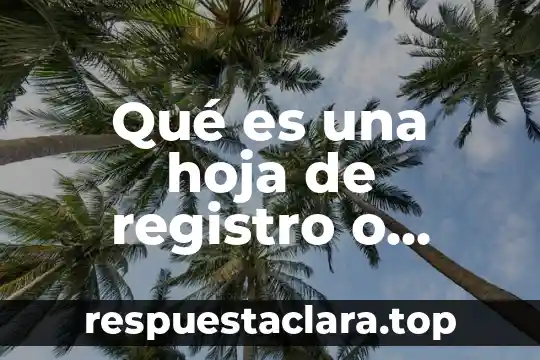 Qué es una hoja de registro o verificación