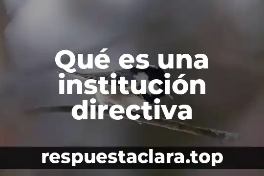 Qué es una institución directiva