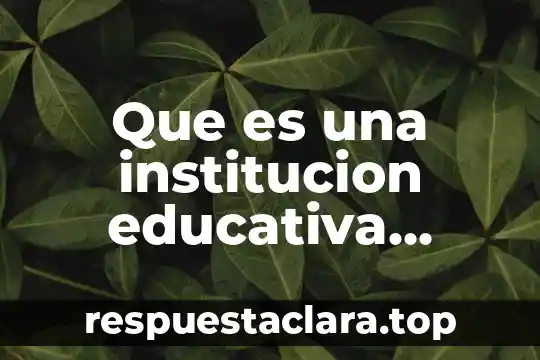 Que es una institucion educativa definicion