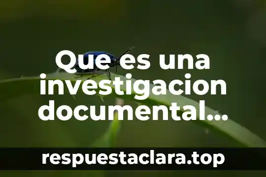 Que es el catálogo de disposición documental 5 Que es una investigacion documental resumen