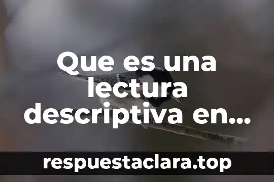 Que es la investigacion exploratoria y descriptiva 3 Que es una lectura descriptiva en el arte