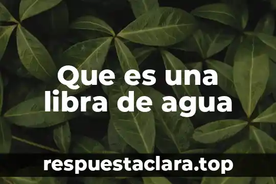 Que es una libra de agua