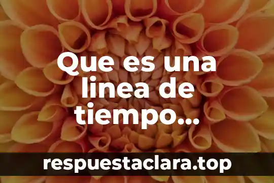 Que es una linea de tiempo graficada