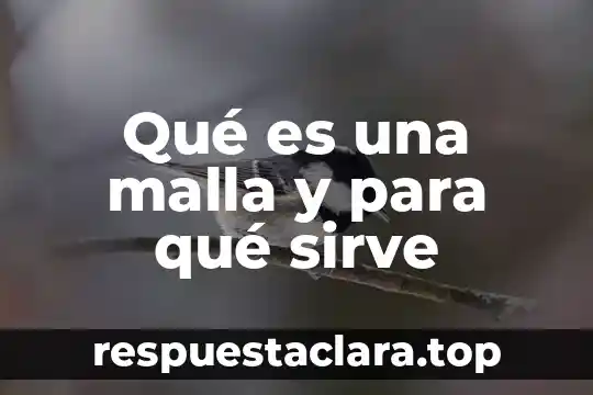 Qué es una malla y para qué sirve
