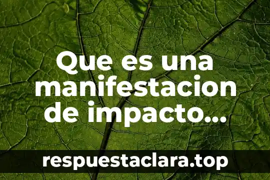 Manifestacion arraigada de las masas populares que es 3 Que es una manifestacion de impacto ambiental mineria