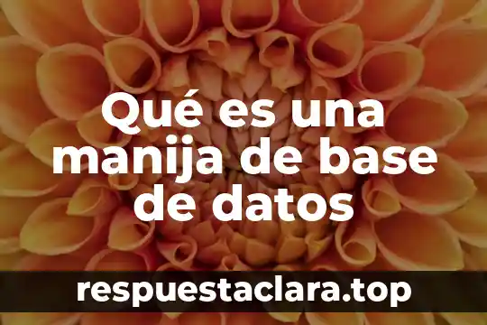 Qué es la base y la altura de una figura 8 Qué es una manija de base de datos