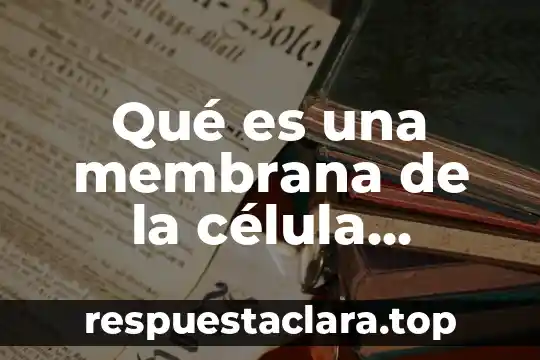 Qué es una membrana de la célula animal