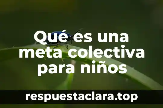 Que es una sociedad colectiva y una sociedad anonima 8 Qué es una meta colectiva para niños