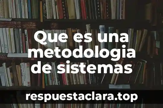 Que es una metodologia de sistemas