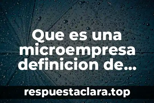Qué es la representación espacial definición 6 Que es una microempresa definicion de libro