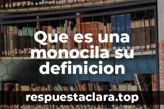 Qué es la representación espacial definición 7 Que es una monocila su definicion