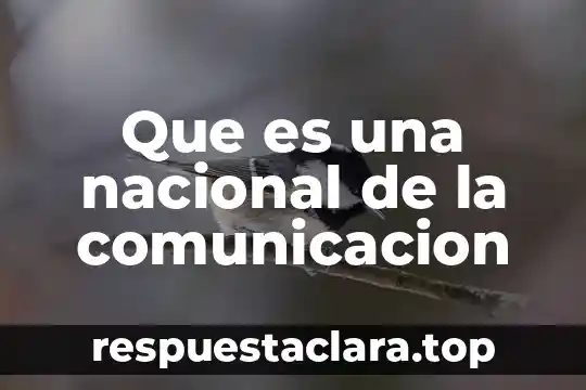 Que es una nacional de la comunicacion