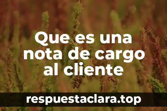 Que es una nota de cargo al cliente