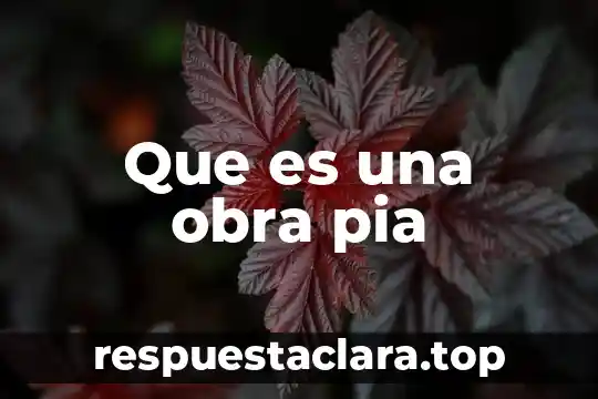 Que es una obra pia