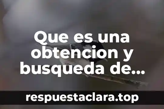 Que es una obtencion y busqueda de informacion de unautor