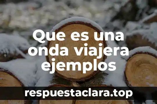 Que es una onda viajera ejemplos
