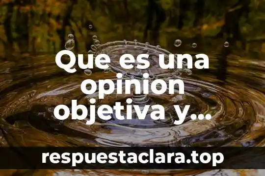 Concepción objetiva que es 4 Que es una opinion objetiva y subjetiva