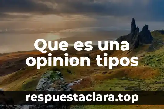 Que es una opinion tipos