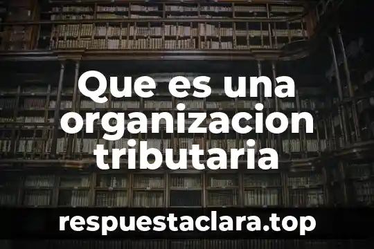Que es los valores de una organizacion 7 Que es una organizacion tributaria