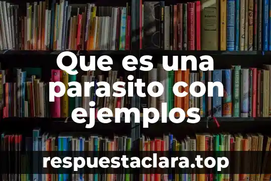 Que es mala conciencia segun la biblia 7 Que es una parasito con ejemplos