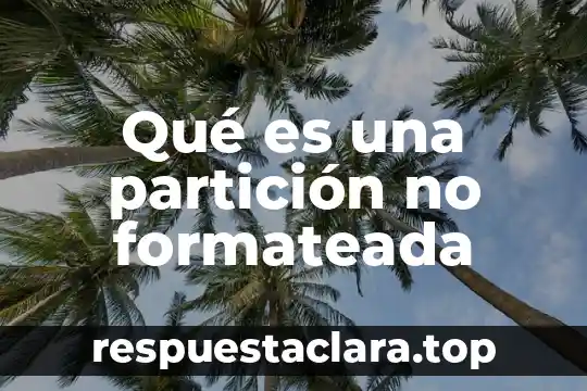 Qué es una partición no formateada