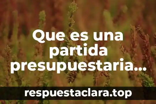 Que es una partida presupuestaria definicion