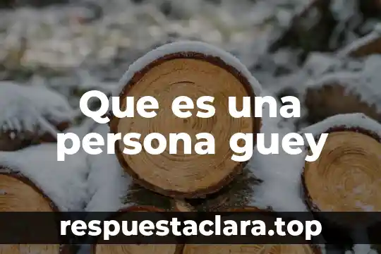 Que es una persona guey