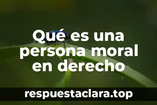 Qué es una persona moral en derecho