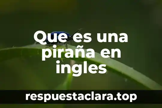 Qué es aids en inglés 8 Que es una piraña en ingles