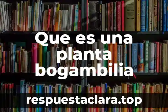Que es una planta bogambilia