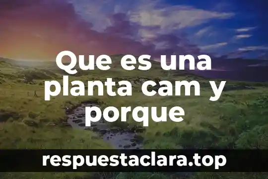 Que es una planta cam y porque