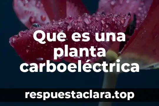 Que es adventicia de la planta 4 Que es una planta carboeléctrica
