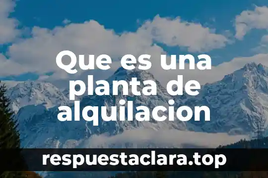 Planta nixtamalizadora que es 3 Que es una planta de alquilacion