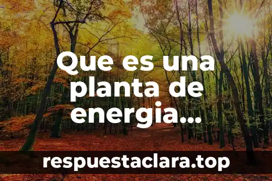 Que es adventicia de la planta 5 Que es una planta de energia mecanica