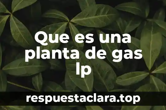 Que es una planta de gas lp