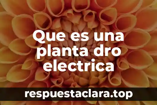 Que es una planta dro electrica