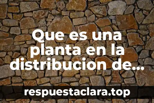 Que es una planta en la distribucion de procesos