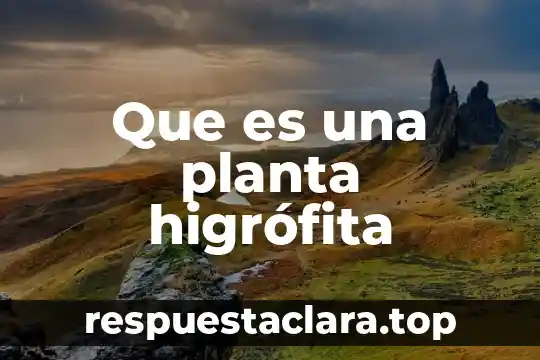 Que es una planta higrófita