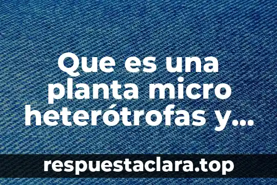 Que es una planta micro heterótrofas y autótrofas