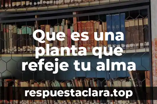 Por qué es necesario valuar tu casa 6 Que es una planta que refeje tu alma