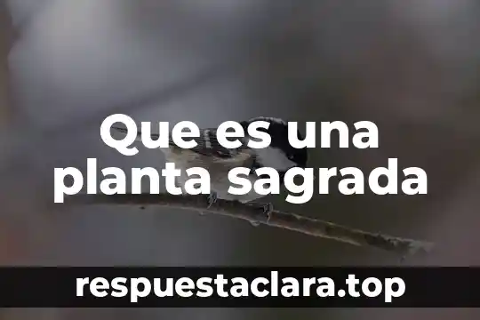 Que es una planta sagrada