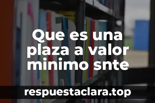 Que es una plaza a valor minimo snte