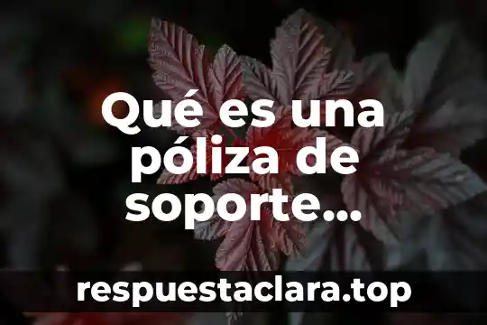 Qué es una póliza de soporte técnico