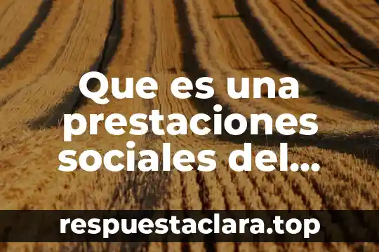 Que es una prestaciones sociales del imss