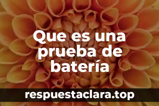 Que es una prueba de batería