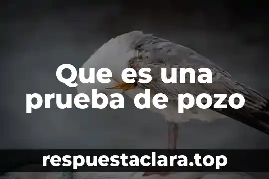 Que es una prueba de pozo